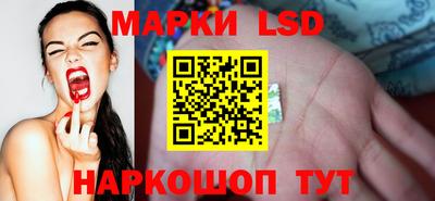 шишки Новозыбков