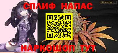 шишки Новозыбков