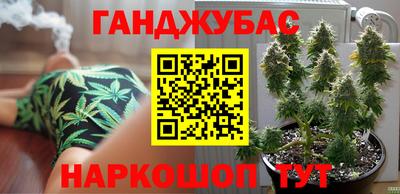 шишки Новозыбков
