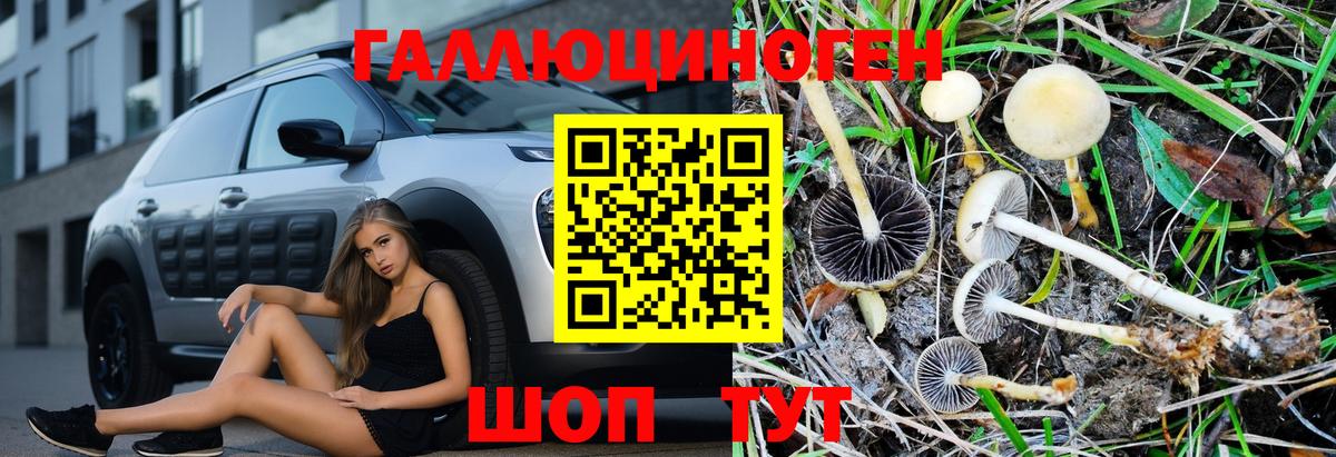Псилоцибиновые грибы MAGIC MUSHROOMS Партизанск